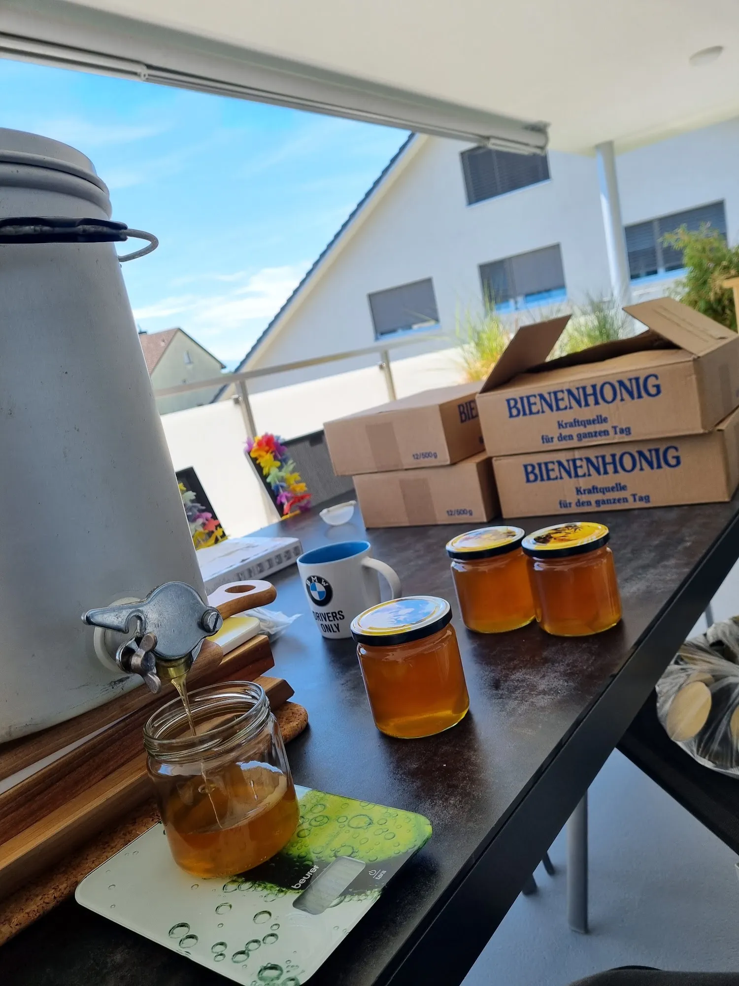 Abfüllen des goldenen Honigs aus dem Abfüllkübel in Gläser auf der Terrasse